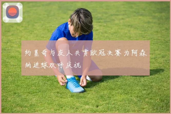 约基奇与友人共赏欧冠决赛为阿森纳进球欢呼庆祝